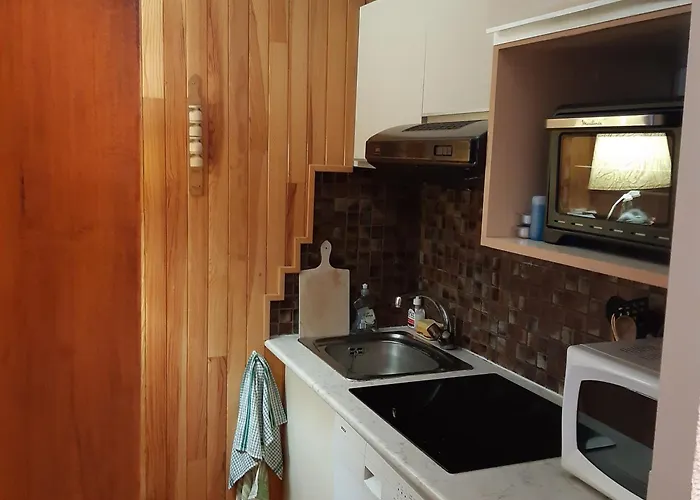 Apartman T2 Rez-de-jardin Avec Parking Et Vue Mont Blanc - Fr-1-517-65 Chamonix