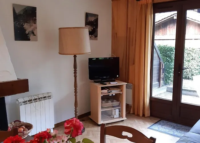 T2 Rez-de-jardin Avec Parking Et Vue Mont Blanc - Fr-1-517-65 * Chamonix