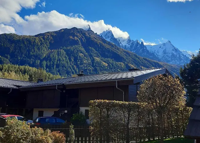 T2 Rez-de-jardin Avec Parking Et Vue Mont Blanc - Fr-1-517-65 Chamonix