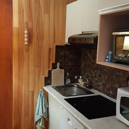 Apartment T2 Rez-de-jardin Avec Parking Et Vue Mont Blanc - Fr-1-517-65 Chamonix