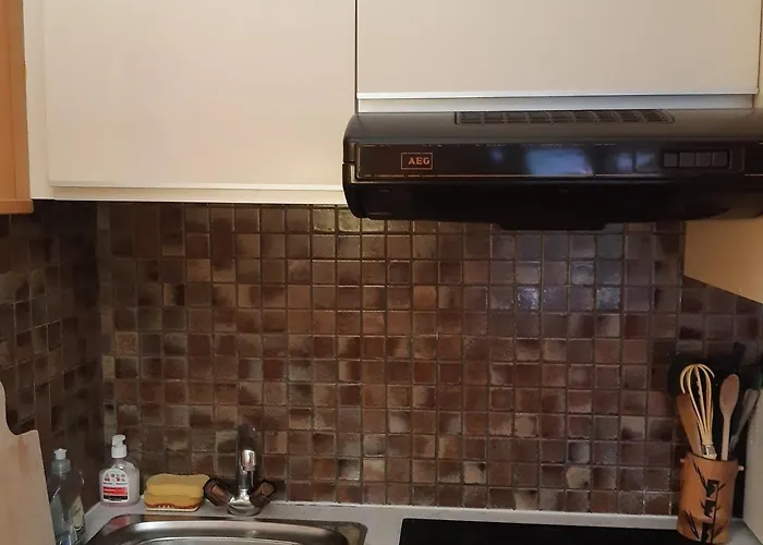 T2 Rez-de-jardin Avec Parking Et Vue Mont Blanc - Fr-1-517-65 * Σαμονί