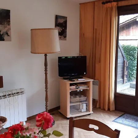 T2 Rez-de-jardin Avec Parking Et Vue Mont Blanc - Fr-1-517-65 * Σαμονί